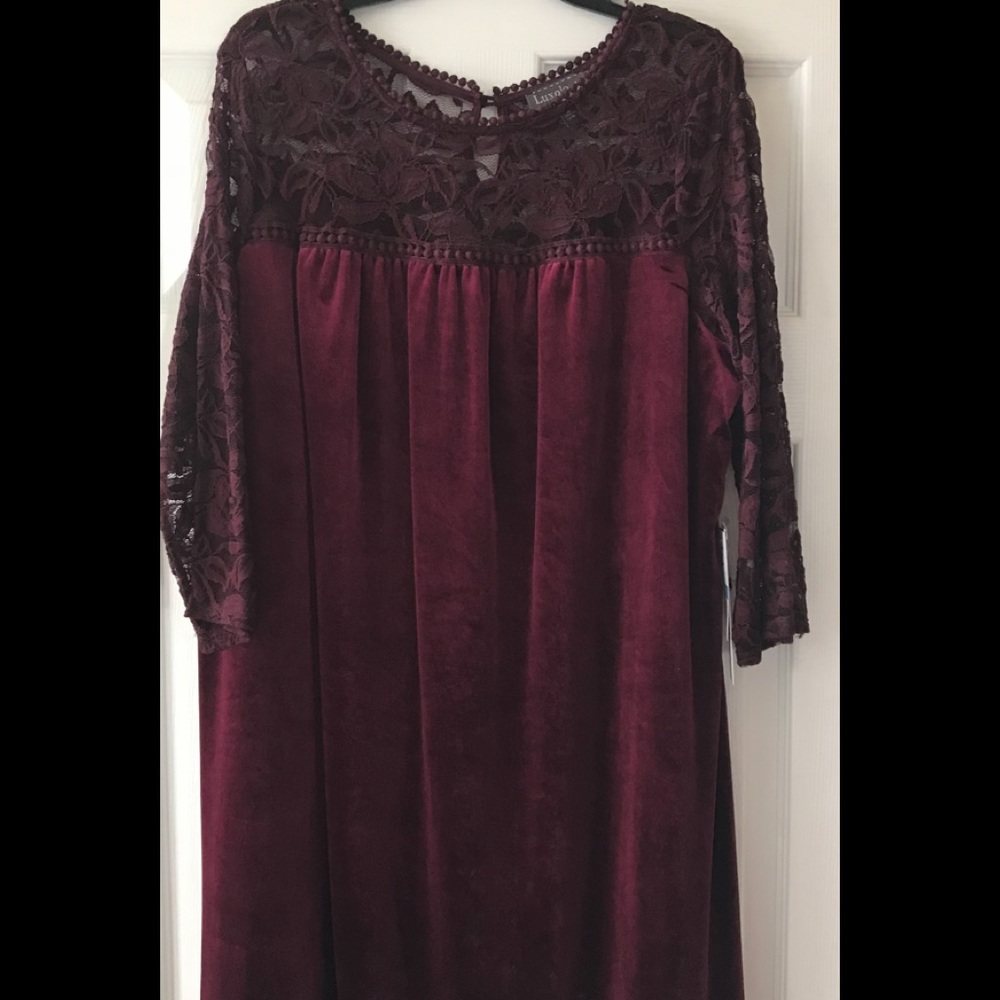Xl Luxology long sleeve lace velveteen dress new